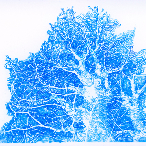 Έλλη Κουτσουκέλλη: «Όνειρο στα δέντρα» στην αίθουσα τέχνης «έκφραση - Γιάννα Γραμματοπούλου»