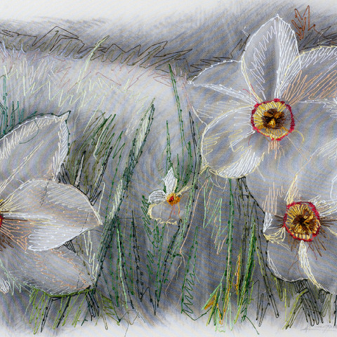 Κωνσταντίνα Συλίκου: «Διάφανοι κήποι» στην genesis gallery