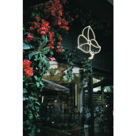 Junction in the yard