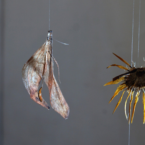 Εφήμερο από το Α’ Εργαστήριο Ζωγραφικής της ΑΣΚΤ