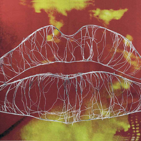 Γυναικεία ζητήματα από σύγχρονες γυναίκες καλλιτέχνιδες στην Πινακοθήκη Αθηναίων