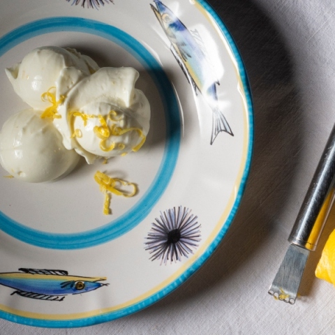 Παγωτό γιαούρτι 