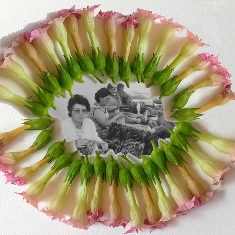 Μαρίνα Προβατίδου: «Τα άνθη του καπνού» στην γκαλερί 7