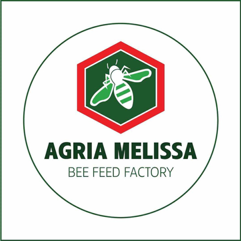 Άγρια μέλισσα