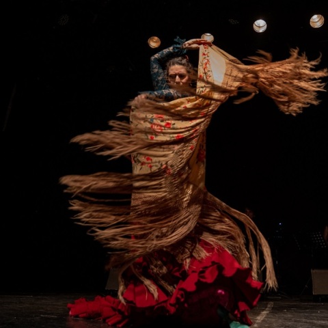 Βραδιά Φλαμένγκο στην Αθήνα