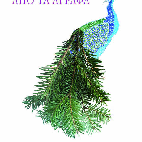 μαστρογιαννιτησ