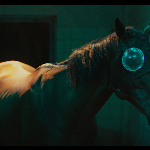 Τζάνις Ράφα: «Εμείς που προδώσαμε τα άλογα» στο EMΣΤ