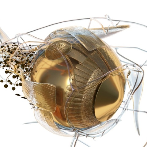 Κώστας Πηγαδάς: Phytobiosomes στο Νοσοκομείο Ερρίκος Ντυνάν