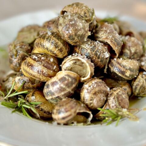 Χοχλιοί Μπουμπουριστοί