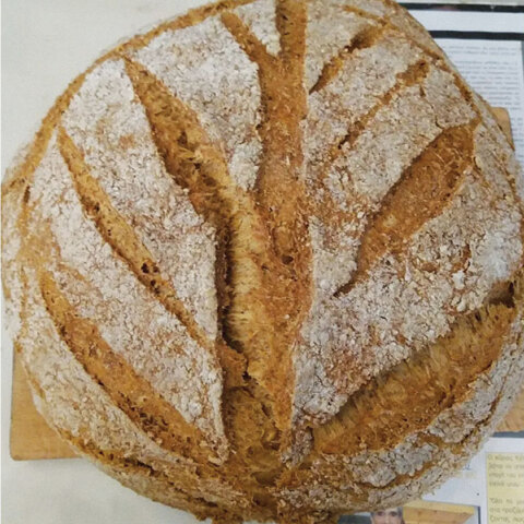 Πνύκα: Η παράδοση του ελληνικού ψωμιού μέσα από τρεις γενιές