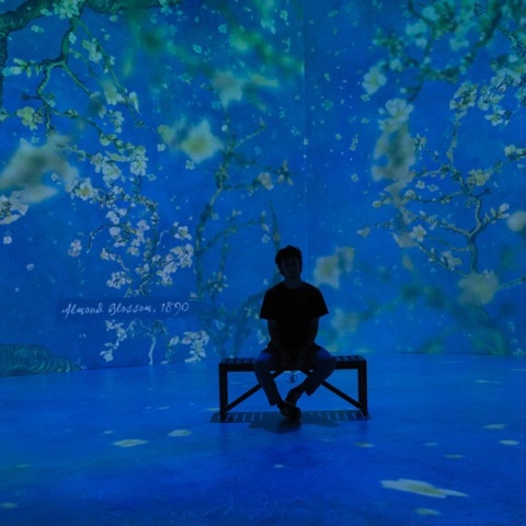  Van Gogh: The Immersive Experience στο Γουδί