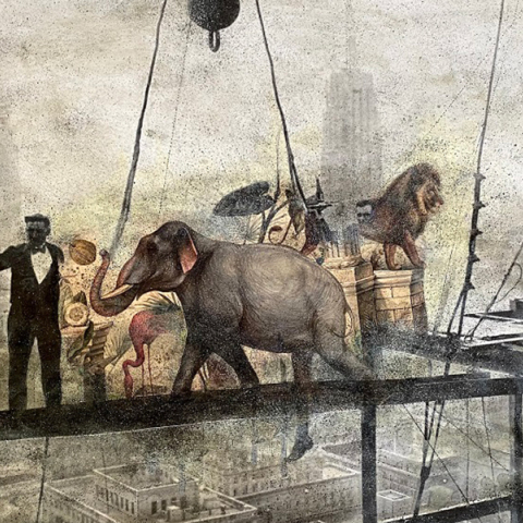 «Η φύση εντός των τειχών» στο Μουσείο Ηρακλειδών