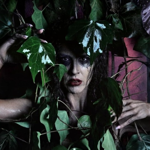 Η Κατσαρίδα Κ. του Μάριου Ιορδάνου