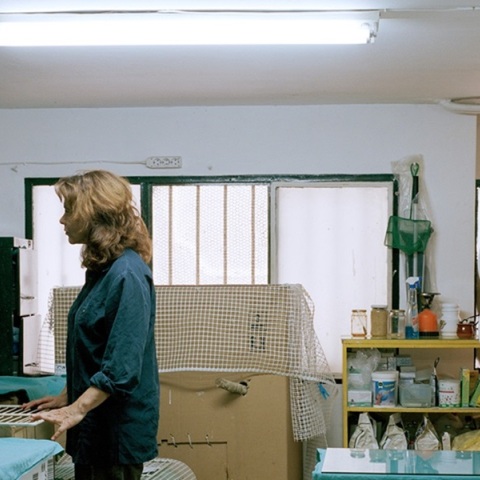 Interludes - Αγγελικής Σβορώνου