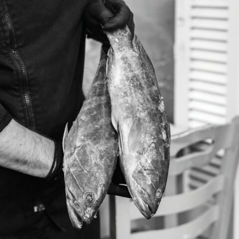 Οι ιστορίες του μπάρμπα ανταμώνουν τον Βλάσση