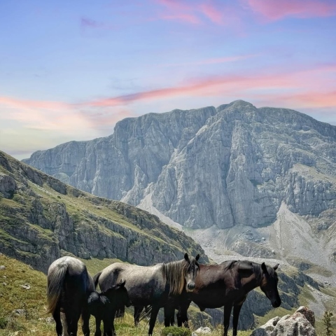 George Savvidis @ironsav13