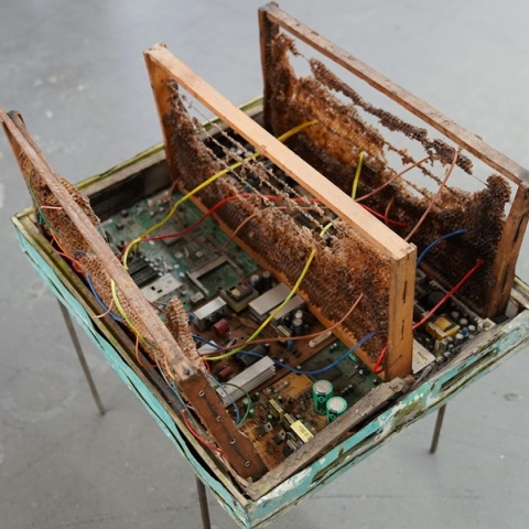 «Nibus» της Ειρήνης Ταμπασούλη