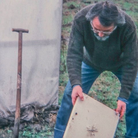 Στάθης Λογοθέτης: «Στη Γη»