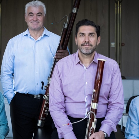 Φαγκοτόνια