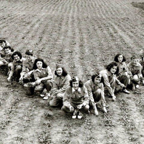 «collapse: data.models.worlds»: Ομιλίες καλλιτεχνών και συζήτηση στο ΠΛΥΦΑ