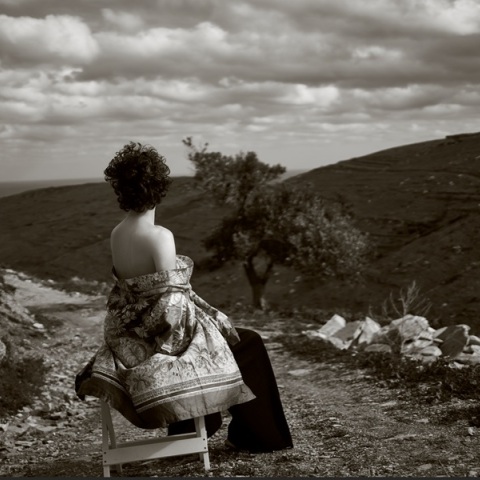 Ricardo Castro,  «After the Storm, Expecting the Return»