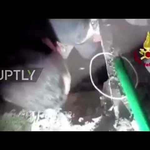 Heroic Italian firefighters rescue pup from perilous drainpipe