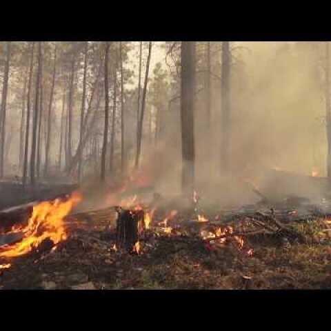 Αντιπυρική περίοδος 2019 - Το Σύστημα IRIS