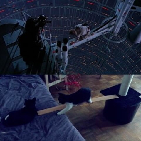 The Empire Scratches Back