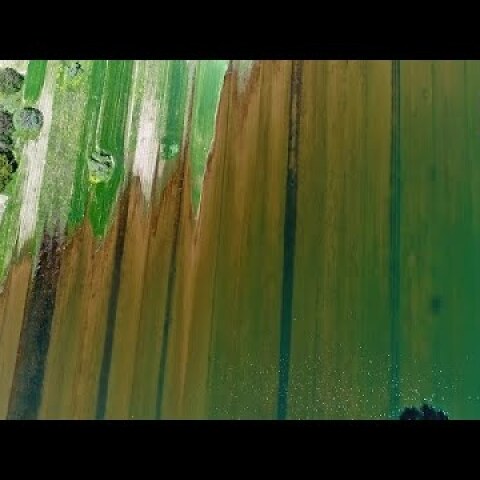 Ο 6ος άθλος του Ηρακλή: Η μυθική λίμνη όπου πάλεψε με τις Στυμφαλίδες Όρνιθες | Stymfalia lake