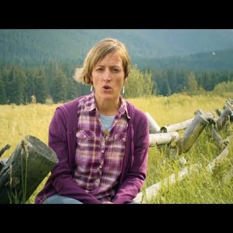 Arizona's Gosar family asks voters NOT to re-elect their brother to Congress