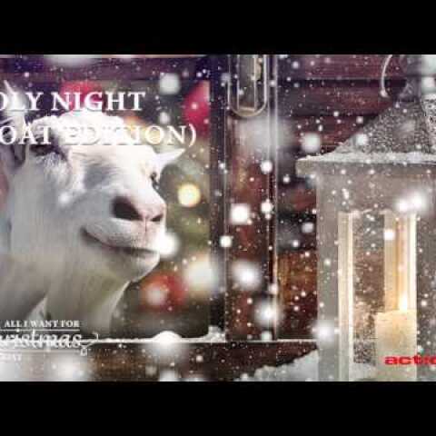 Holy Night (Goat Edition)