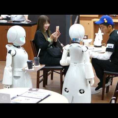 ロボット接客カフェ「DAWN ver.β」 オリィ研究所 日本財団 ANA