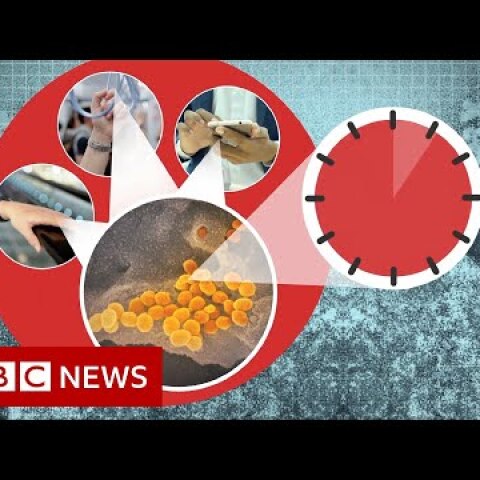 Coronavirus: More myths to ignore - BBC News