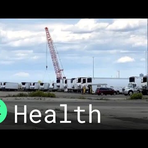 Trucks for Dead Bodies Line Brooklyn Pier as Funeral Homes Are Overwhelmed