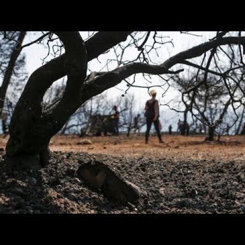 Μάτι | ΑΠΟΣΤΟΛΗ | Εδώ KAHKAN ζωντανοί! | Ιδιοκτήτρια οικοπέδου