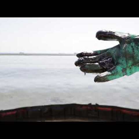 Το περιβαλλοντικό έγκλημα στην Σαλαμίνα συνεχίζεται - Αμοντάριστα πλάνα από Greenpeace