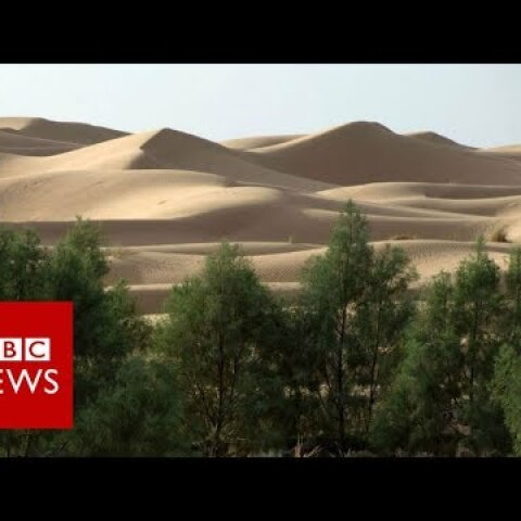Why is Africa building a Great Green Wall? BBC News