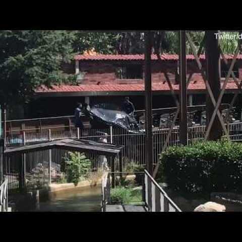 Rollercoaster crash at Spanish theme park leaves 33 injured