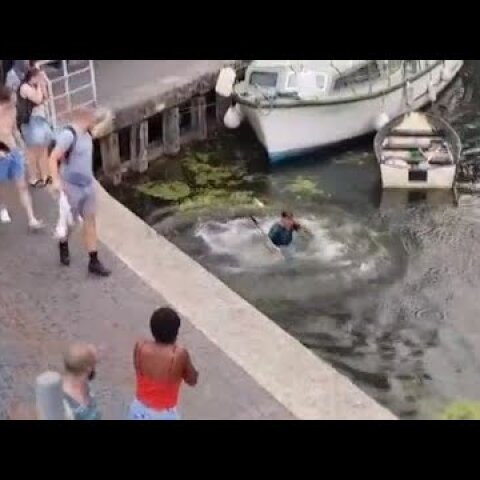 Thug pushes man into canal after he tells-off woman for kicking swan