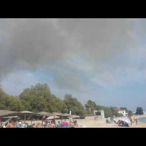 Δυο φωτιές στο Πλωμάρι