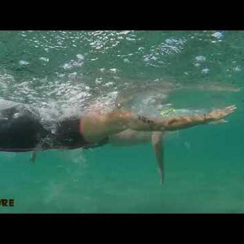 7th XTERRA Open Water Swimming Challenge 2019 - Video Teaser