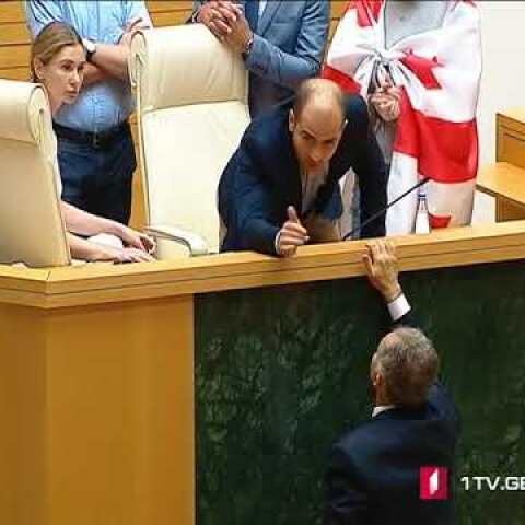 „ევროპული საქართველოს“ წევრებმა სერგეი გავრილოვის საქართველოს პარლამენტში ყოფნა გააპროტესტეს