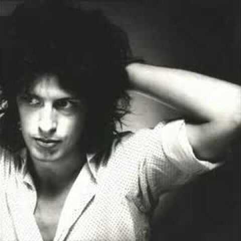 The Waterboys -  the pan within