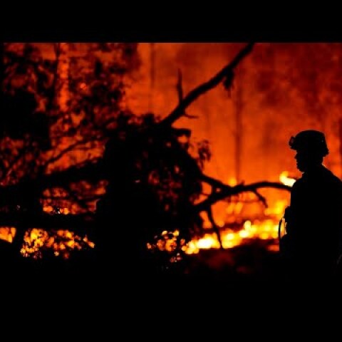 Fallen heroes and Australians impacted by bushfires commemorated at state memorial