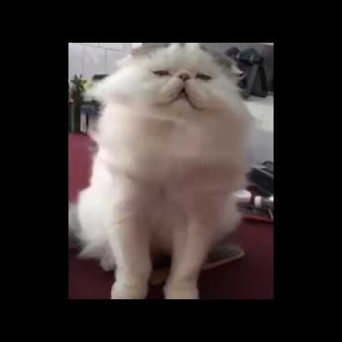 I just died in your arms tonight, Cat.