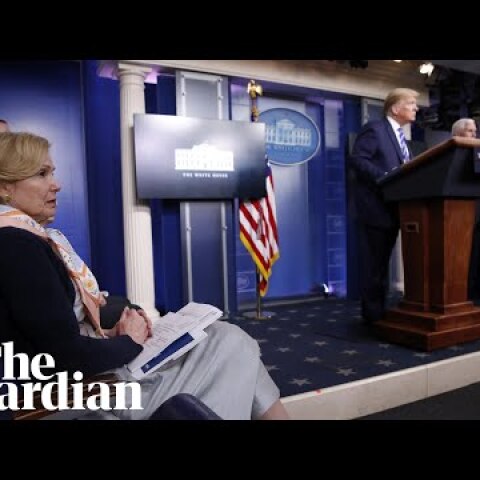 Trump floats dangerous coronavirus treatment ideas as Dr Birx looks on