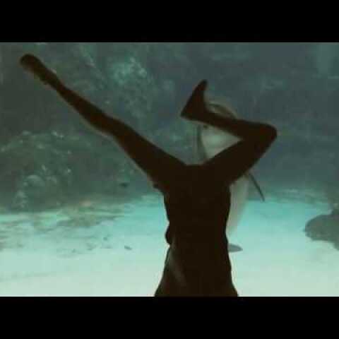 Girl Makes Dolphin Laugh (EXTENDED) ORIGINAL VIDEO