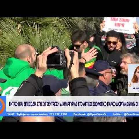 Ενταση - Αττικό Ζωολογικό Πάρκο