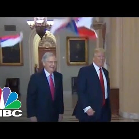 Protester Throws Russian Flags At President Donald Trump On Capitol Hill | CNBC