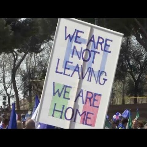 British nationals join pro-EU demonstration